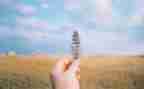 爱的抉择作文8篇