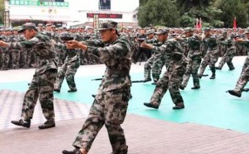 军训的感悟500字作文6篇