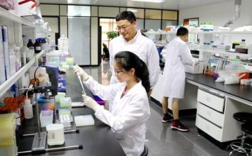 科研月工作总结最新8篇