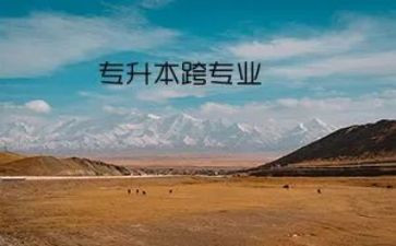 教师跨专业培训总结6篇