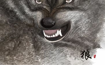 关于《狼》的作文精选8篇