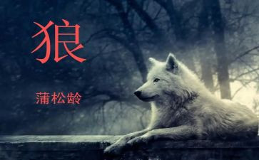 关于《狼》的作文优秀8篇