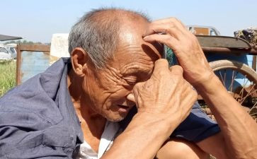 探空巢老人活动总结6篇