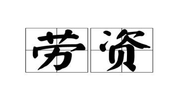人劳资工作总结6篇