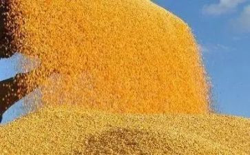 运粮食小班教案5篇