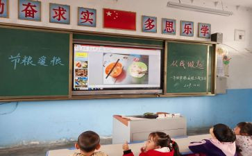 爱粮食节活动总结5篇