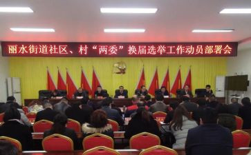 2023年村两委工作总结5篇