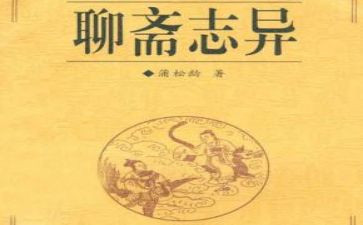 聊斋的读后感800字5篇