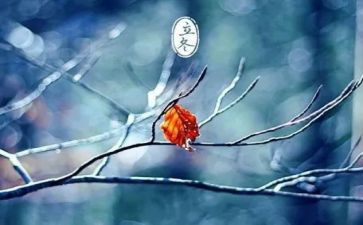 立冬的活动总结200精选8篇