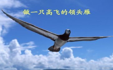 2024领头雁培训心得体会5篇