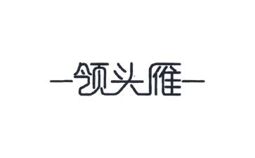 2024农领头雁培训心得8篇