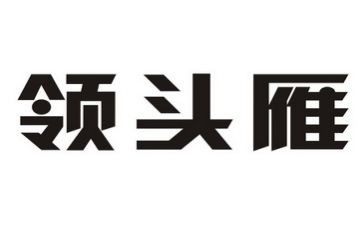 领头雁培训心得体会6篇