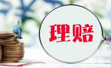 理赔2023工作总结7篇