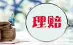 理赔2023工作总结7篇