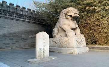 幸福的刘和珍读后感400字7篇
