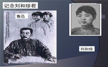 刘和珍观后感通用8篇