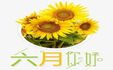 六月安全总结报告5篇