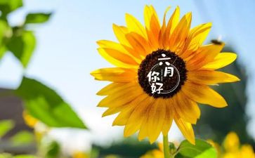 老师六月份工作总结7篇