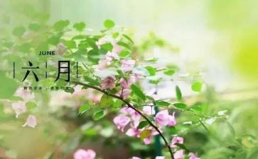 六月幼儿工作总结范文6篇