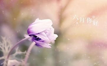 幼儿园六月教师工作总结7篇