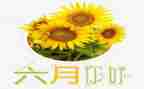六月安全总结报告5篇