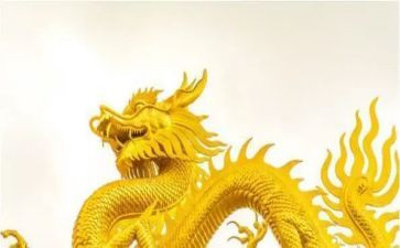 青石龙读后感5篇