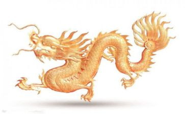 旱龙舟比赛作文7篇