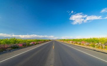 幼儿园各种各样的路教案5篇