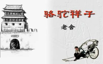 找骆驼优秀教案6篇