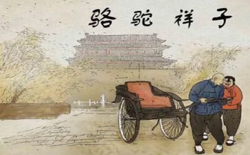 骆驼教学反思优秀7篇