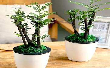 绿领巾活动方案模板7篇
