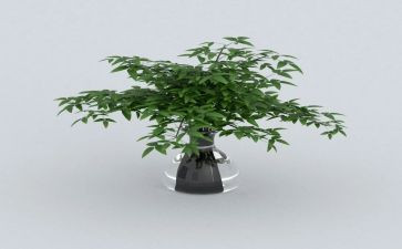 绿色健康倡议书模板8篇