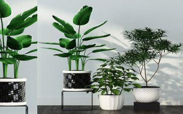 绿化植树活动方案7篇