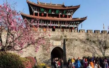 黑旅游工作总结7篇