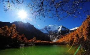 旅游合同8篇