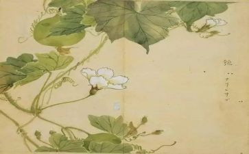 氓的读后感800字参考5篇