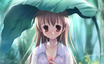 孝的漫画作文最新7篇