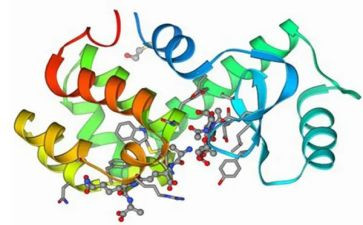 高中生物酶的教案5篇