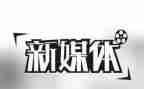 去媒体工作总结8篇