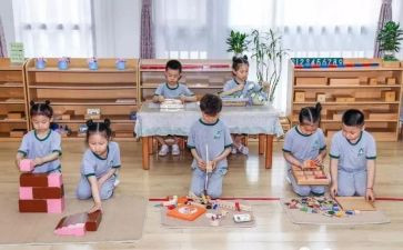 蒙氏幼儿园老师的个人总结6篇