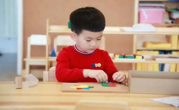 蒙学培训心得体会500字模板7篇