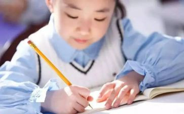 预防小学生沉迷网络活动总结6篇