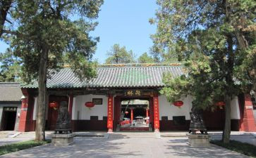 元旦逛庙会活动总结7篇