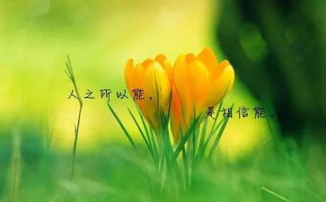 名人的一件事作文8篇