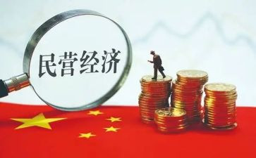 民营半年工作总结7篇
