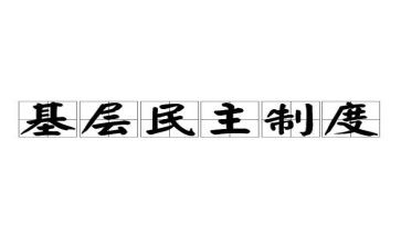 民主评党员个人总结模板6篇