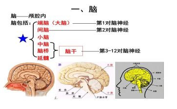 脑健康宣传活动总结8篇