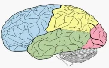 学电脑的工作总结模板8篇
