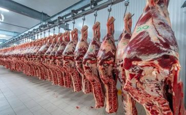 肉类供货合同5篇