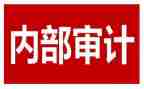 市内审工作总结5篇